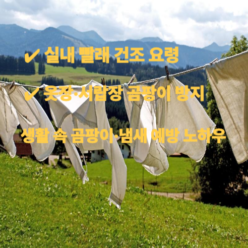의류-관리법