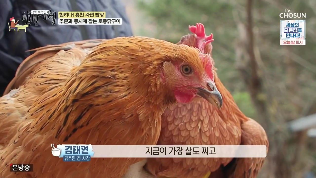 식객 허영만의 백반기행.E226.231209p-NEXT.mp4_20231209_162619.613.jpg