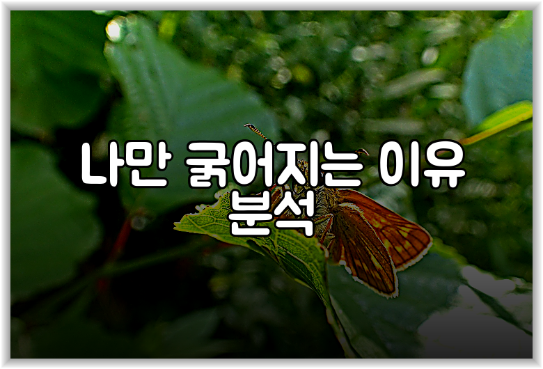 나만 굵어지는 이유 분석