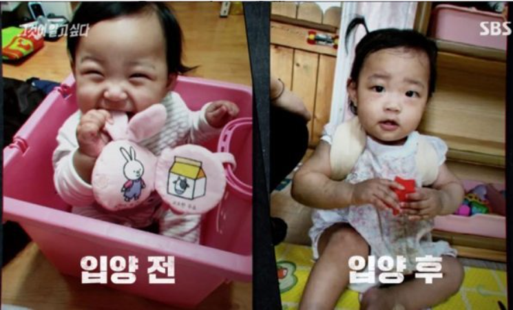  정인아 미안해 우리가 바꿀게, 양천경찰서 비난받아 마땅하다.