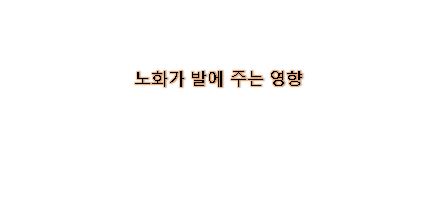  신체의 노화가 발에 주는 영향
