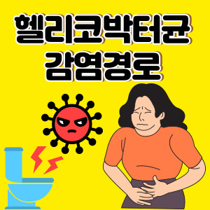 헬리코박터균 원인 및 감염경로