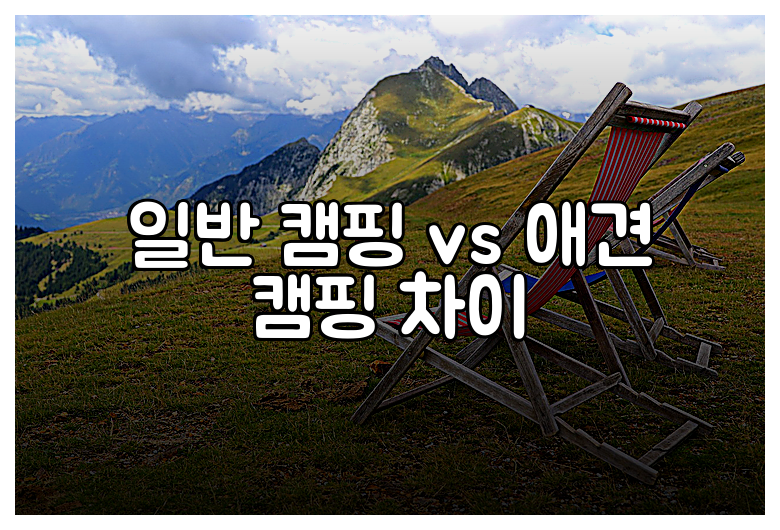 일반 캠핑 vs 애견 캠핑 차이