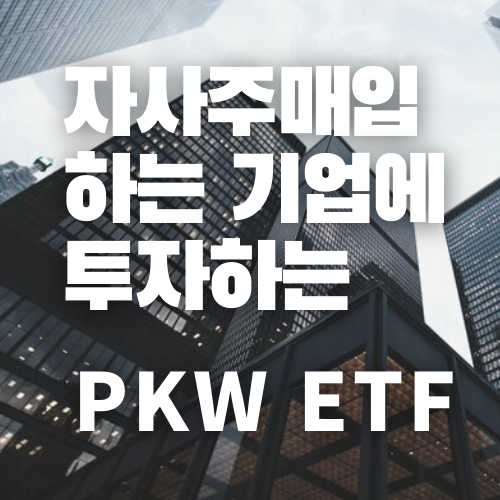 PKWETF 로고