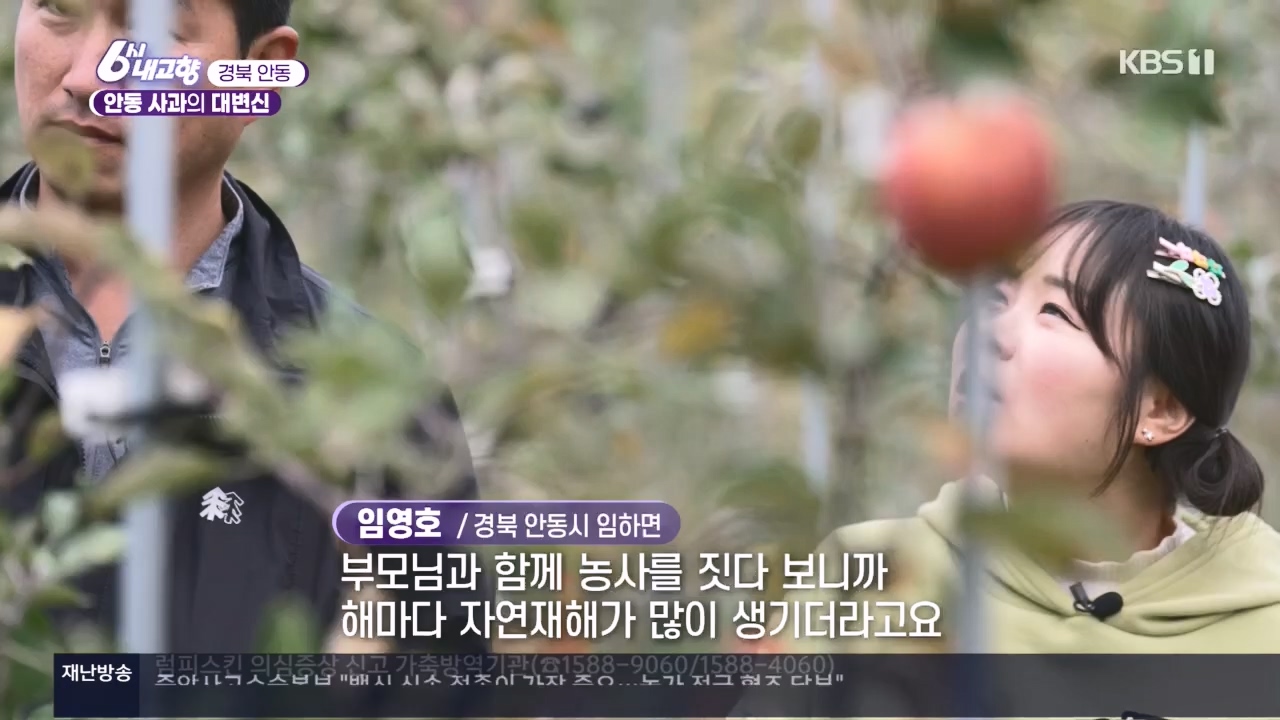 6시 내고향.E7907.231108p.H264-F1RST.mp4_20231108_204716.792.jpg