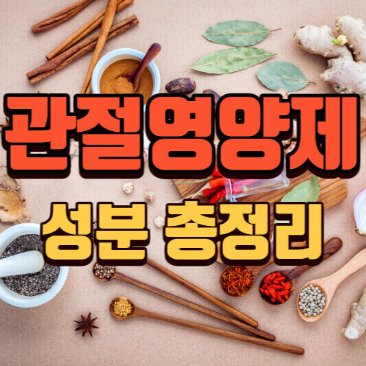  관절영양제 추천 9가지 성분 총정리!
