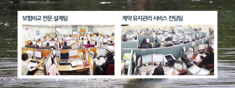 정확하게 알아볼까요? 3대질병보험 8