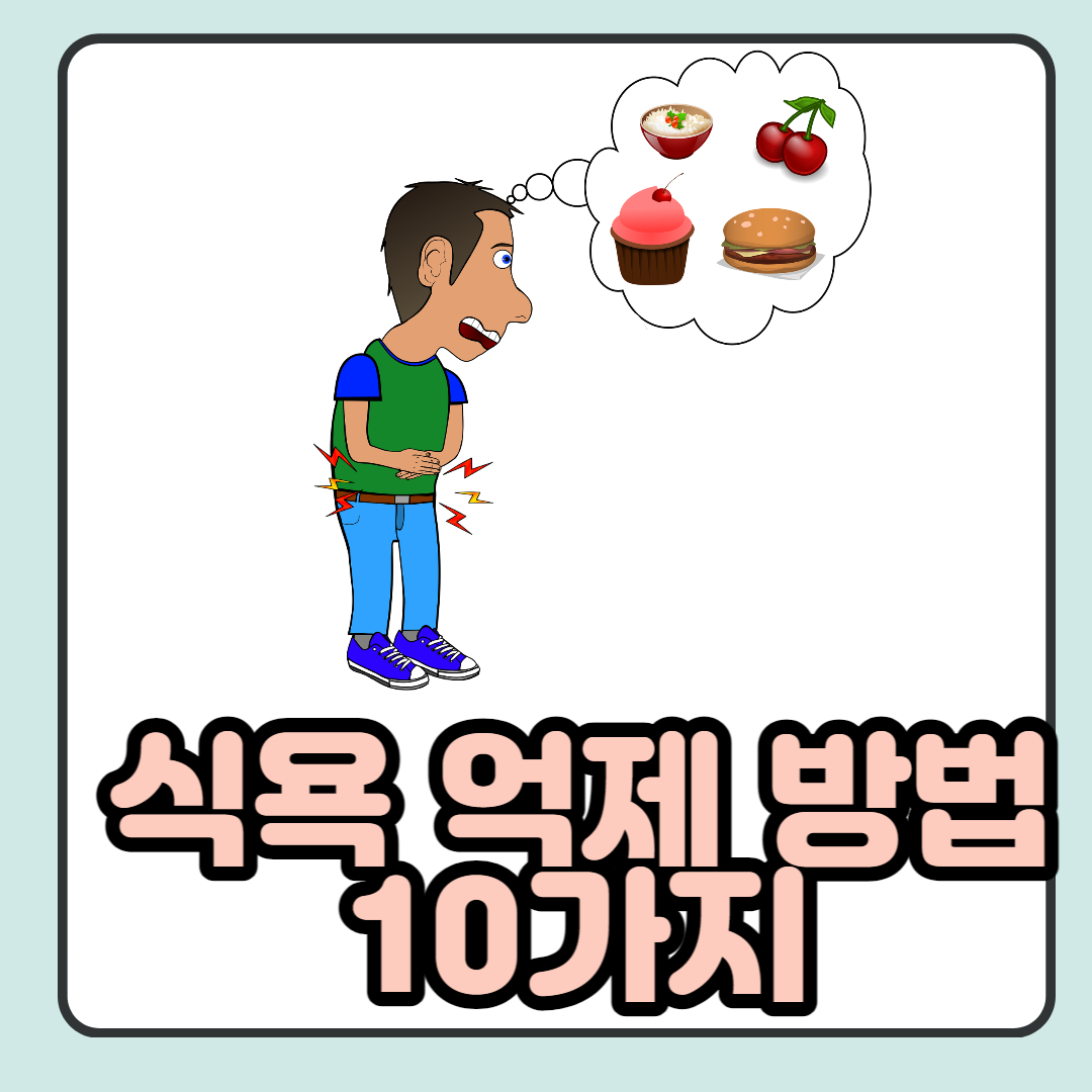  식욕 억제 방법 10가지 제시해 드려요.