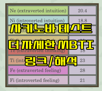  사키노바 테스트 (더 정확한 MBTI) 링크, 해석, 1-8차 기능