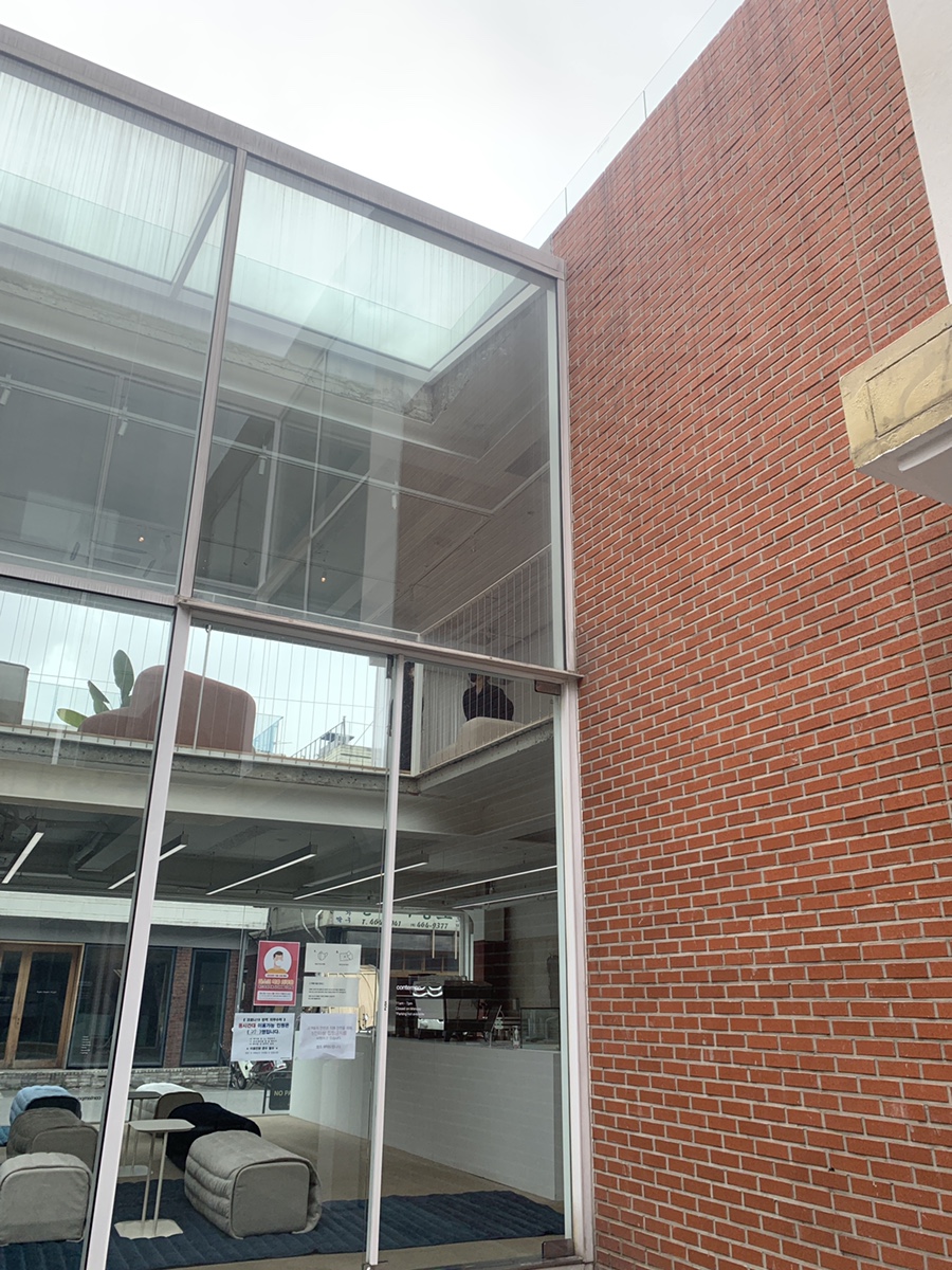 잭슨카멜레온, 플랜트란스 17