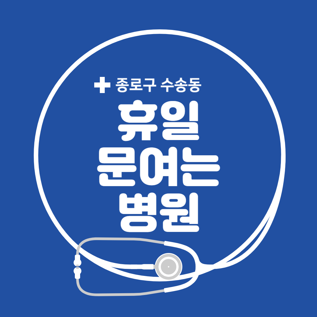 서울시 종로구 수송동 일요일 진료 휴일 문 여는 병원