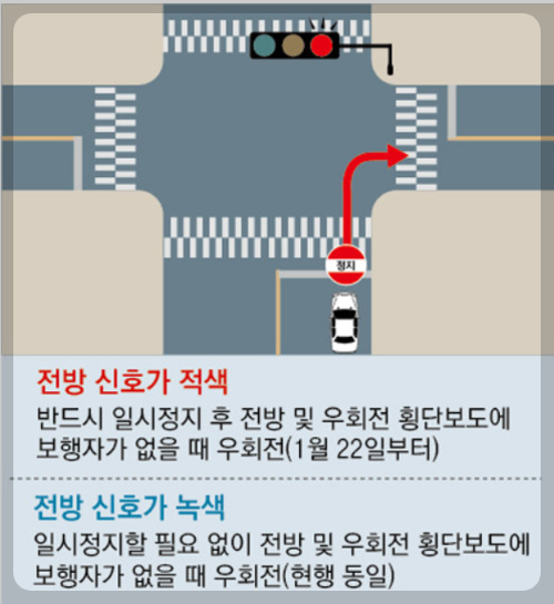 우회전 횡단보도 신호위반