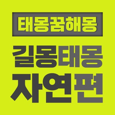  [꿈해몽풀이] 길몽 태몽 자연편