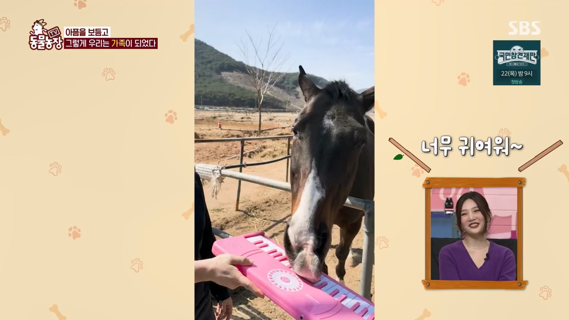 TV 동물농장.E1158.240211p.H264-F1RST.mp4_20240211_194057.164.jpg