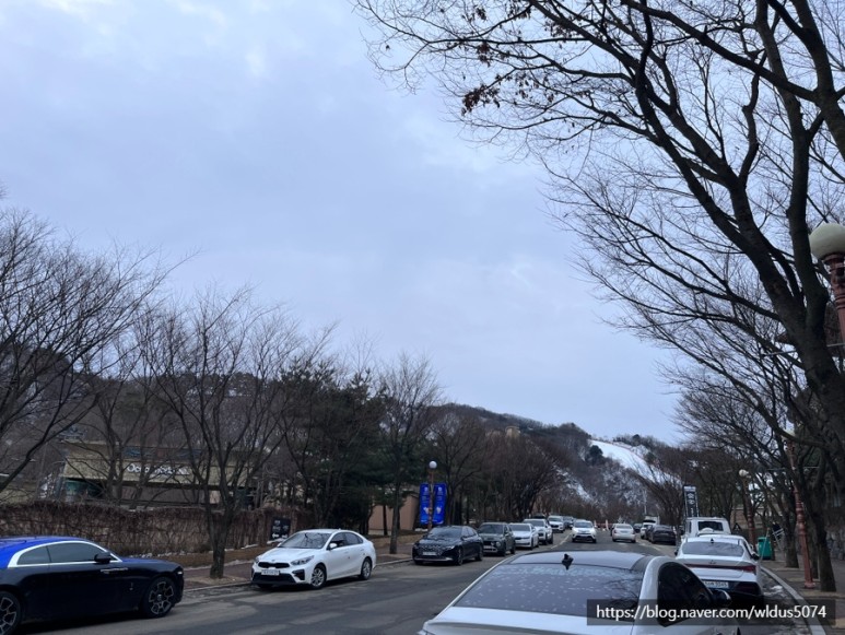 마로니에국밥 이미지