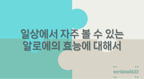  일상에서 자주 볼 수 있는 알로에의 효능에 대해서