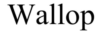  뉴스로 영어 공부하기: wallop (강타)