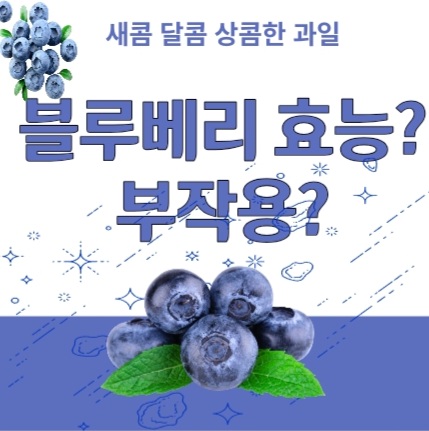  블루베리 효능? 부작용?