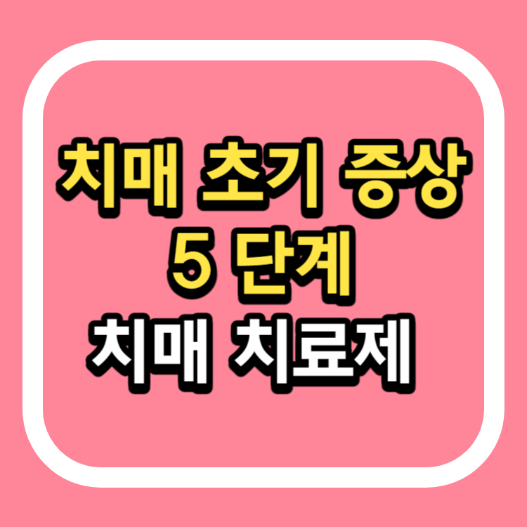 치매 초기증상 치매 치료제