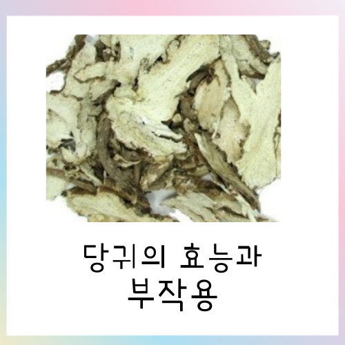  당귀의 효능과 부작용