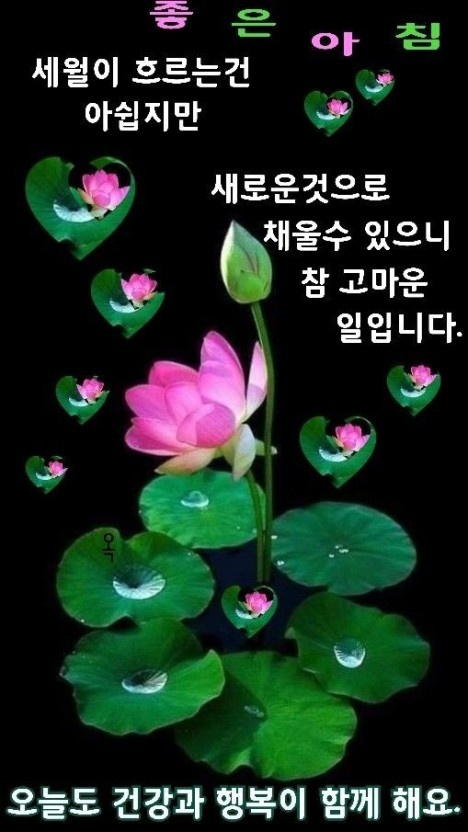 거안 이미지