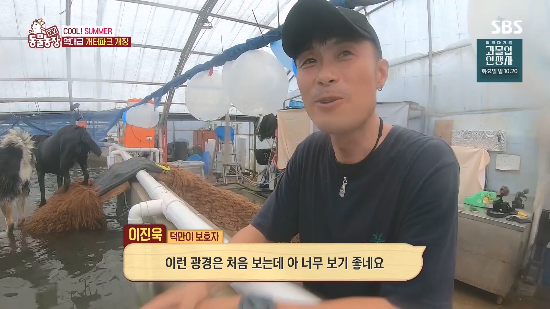 TV 동물농장.E1136.230903p.H264-F1RST.mp4_20230903_180340.551.jpg