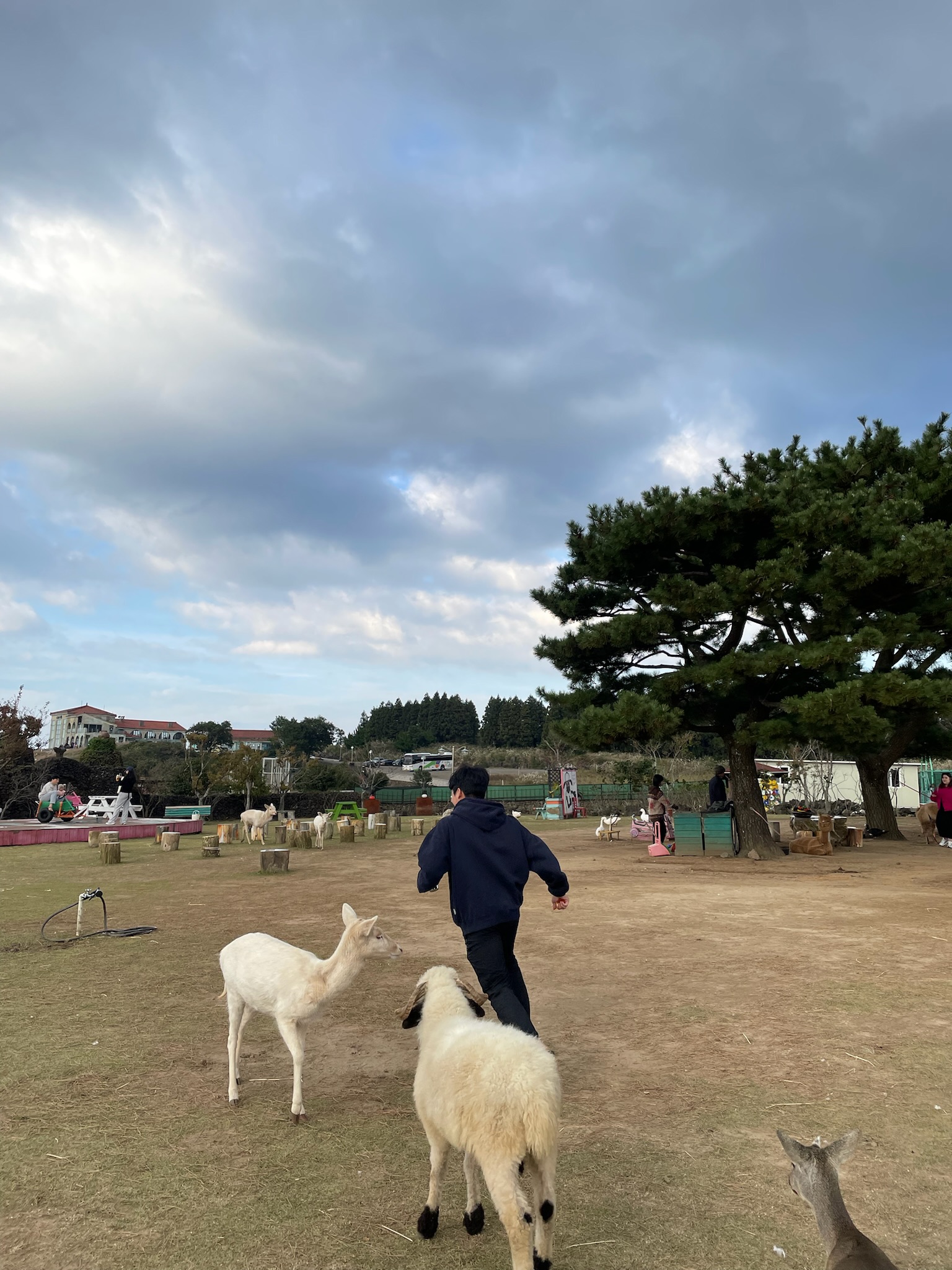 금복식당 이미지