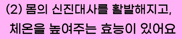  (2) 몸의 신진대사를 활발해지고, 체온을 높여주는 효능이 있어요