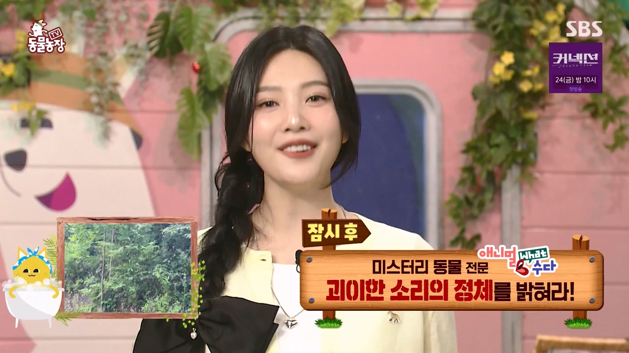 TV 동물농장.E1172.240520p-NEXT.mp4_20240519_165213.390.jpg