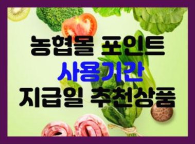  농협몰 포인트 사용기간 지급일 추천상품