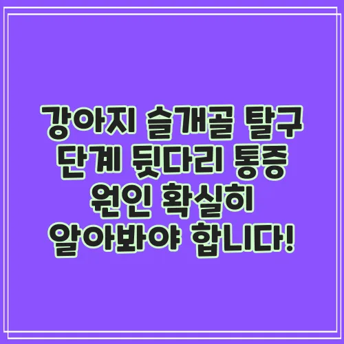 강아지 슬개골 탈구 단계 뒷다리 통증 원인 확실히 알아봐야 합니다!