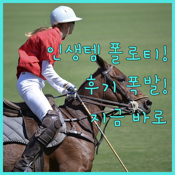 후기 폭발! 인생템 폴로티는 바로 이
