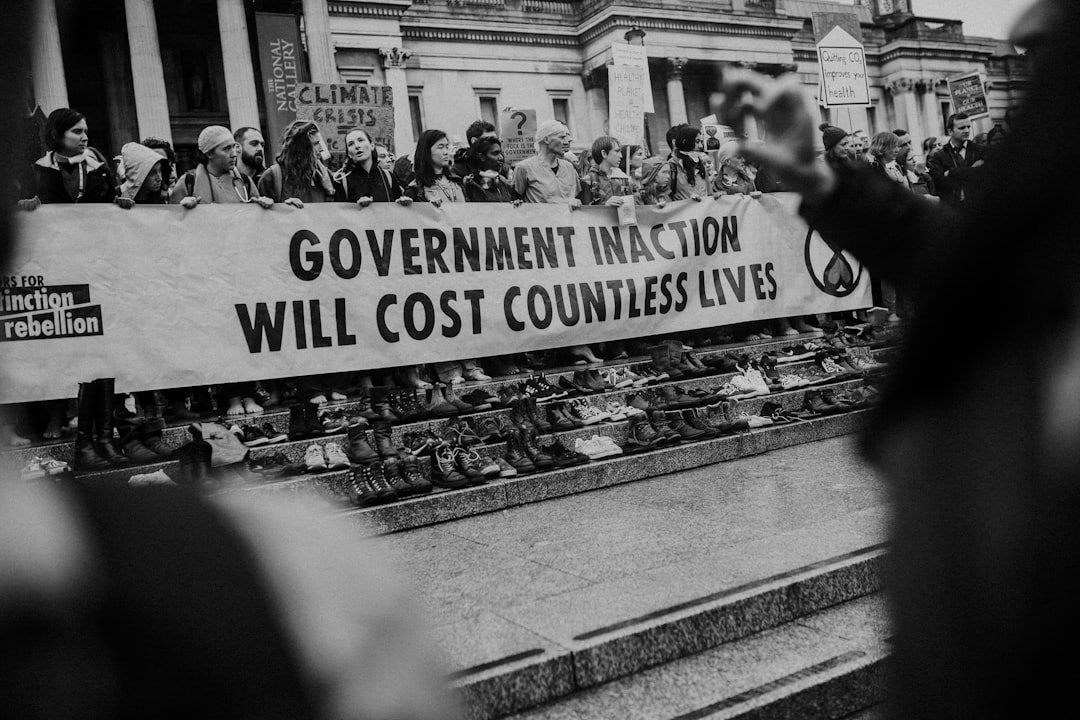 Government subsidy