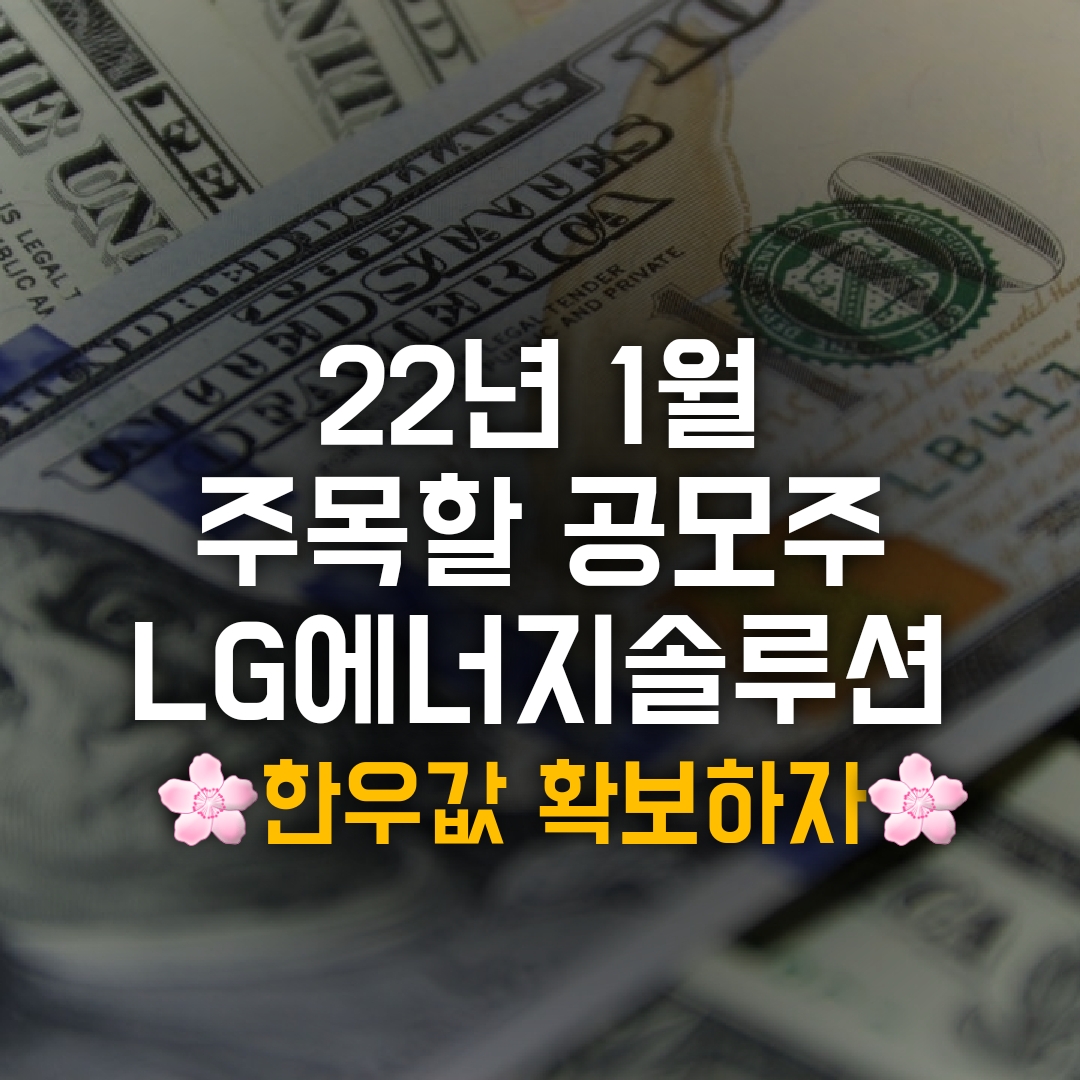  22년 1월 공모주 LG에너지솔루션 청약,증권사(18일~19일)