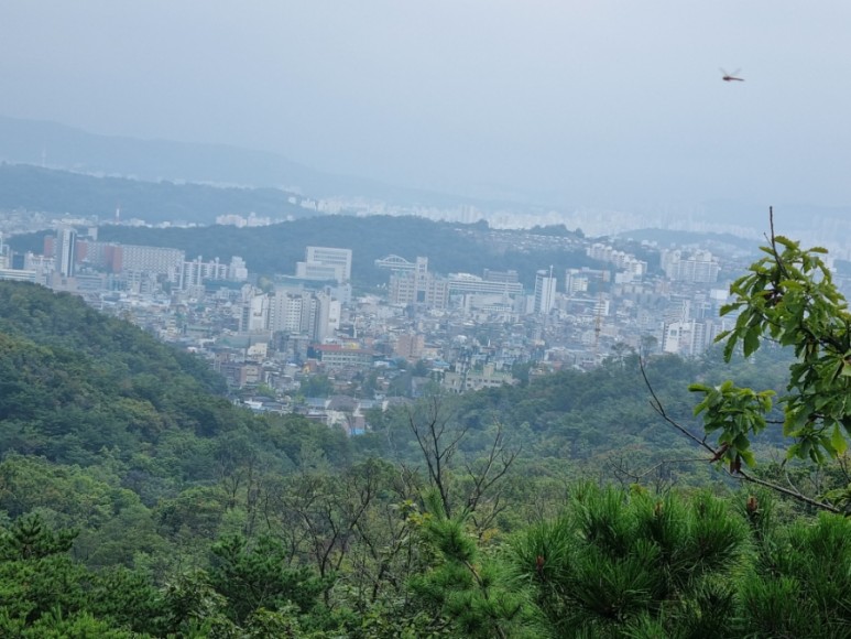 가을비가 내린다고~ 일요일 날씨 8