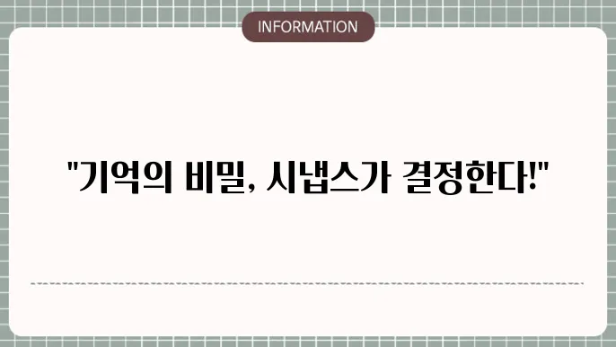 시냅스 가소성  (Synaptic Plasticity)