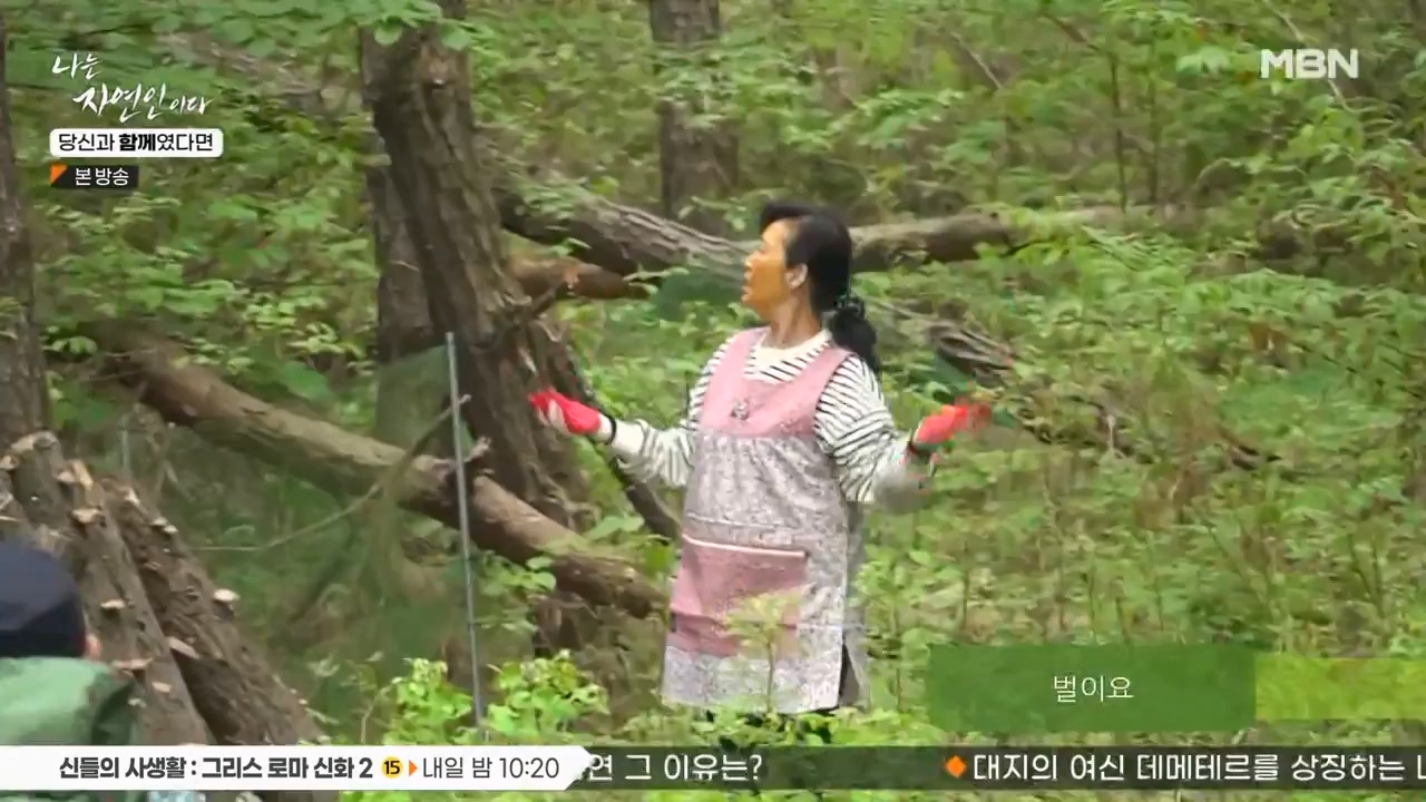 나는 자연인이다.E556.230532p-NEXT.mp4_20230601_201456.907.jpg