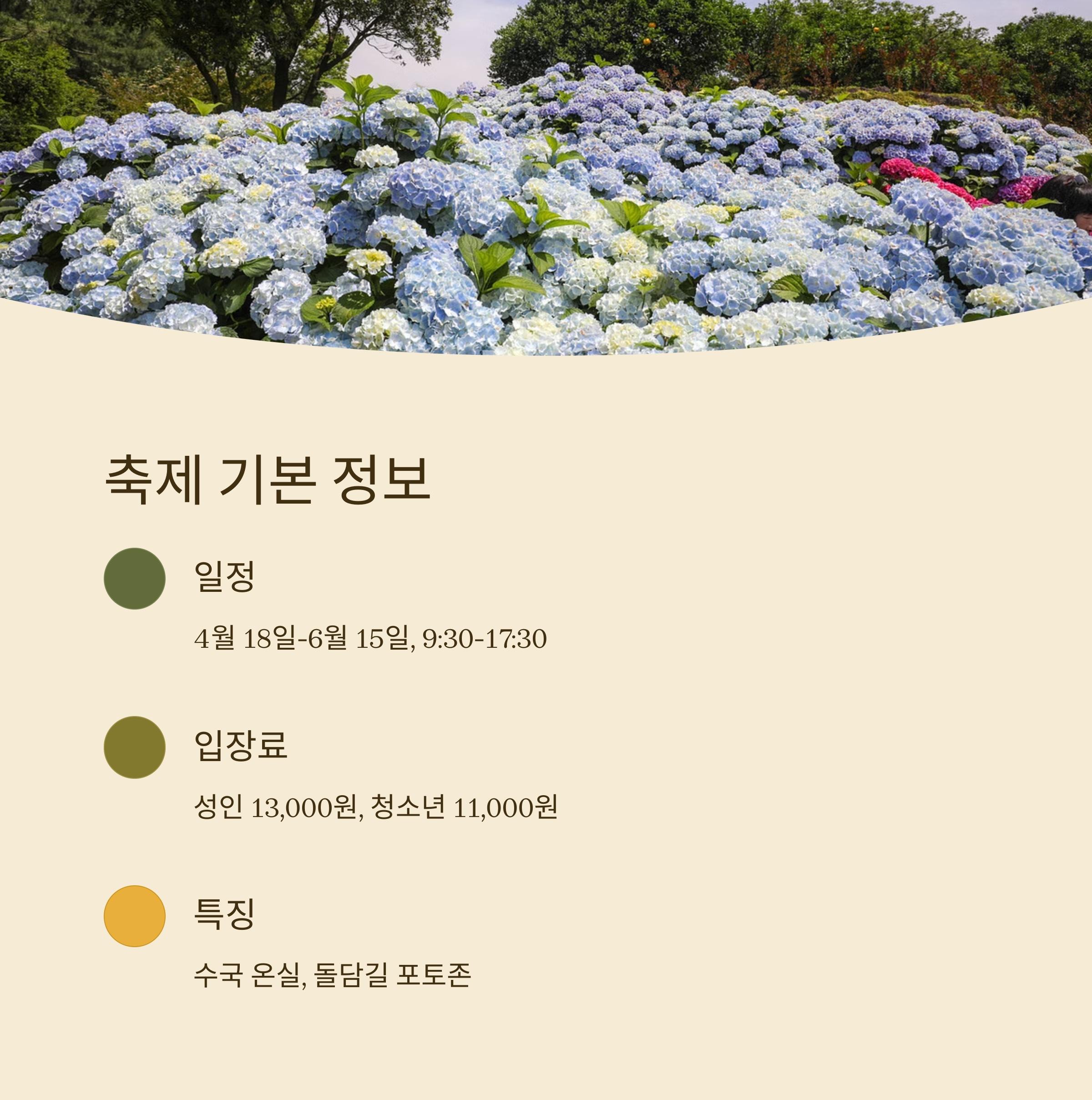 휴애리 봄 수국축제란? 관련 사진