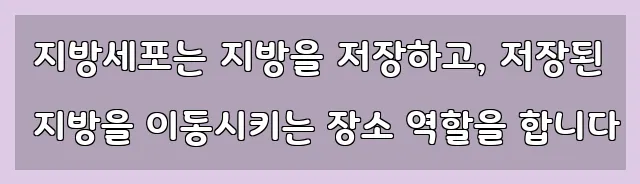  지방세포는 지방을 저장하고, 저장된 지방을 이동시키는 장소 역할을 합니다