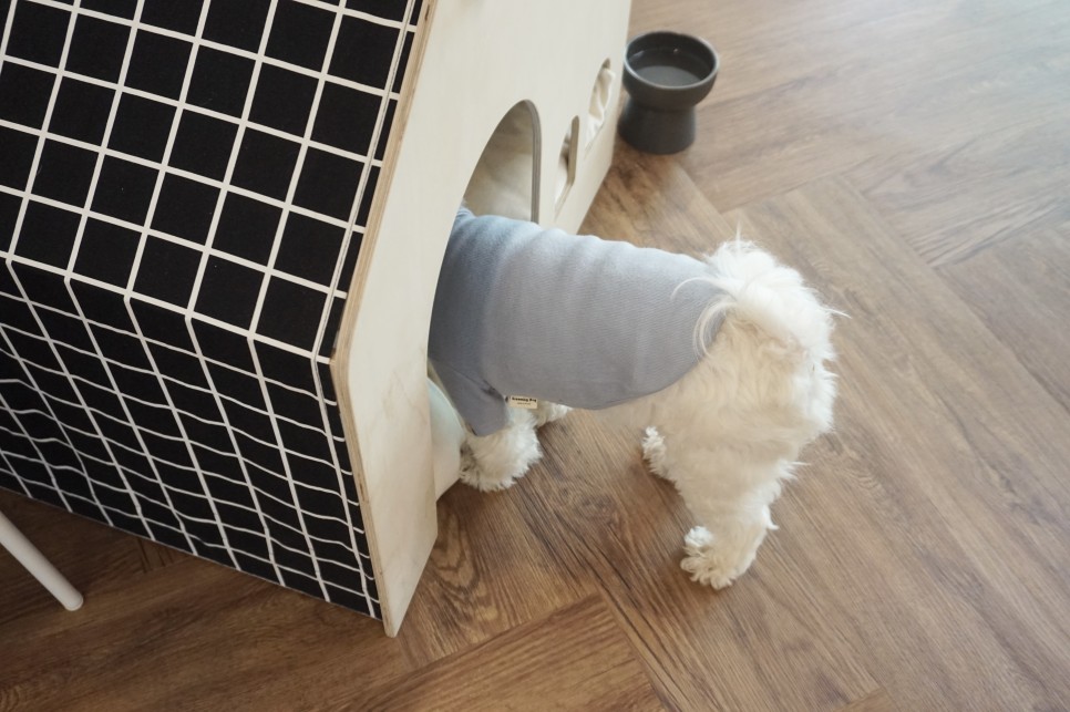 옷 쇼핑몰 강아지옷 쇼핑몰예쁜 37