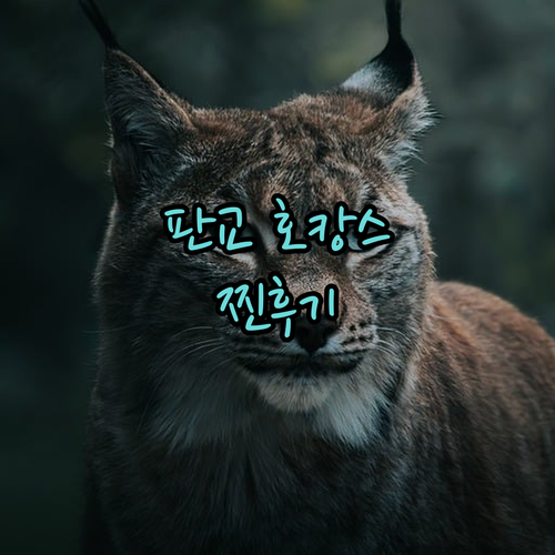 더블트리 바이 힐튼 서울 판교 숙박 