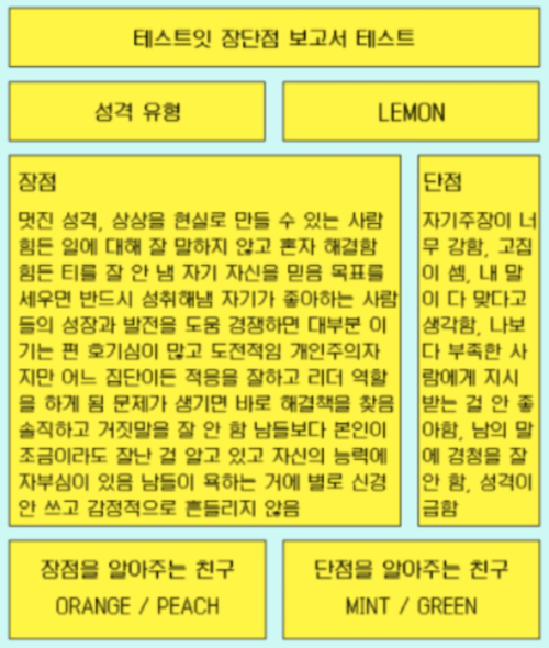 테스트잇 장단점 보고서 테스트 mbti