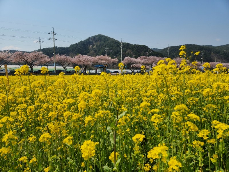 방조제낚시 이미지