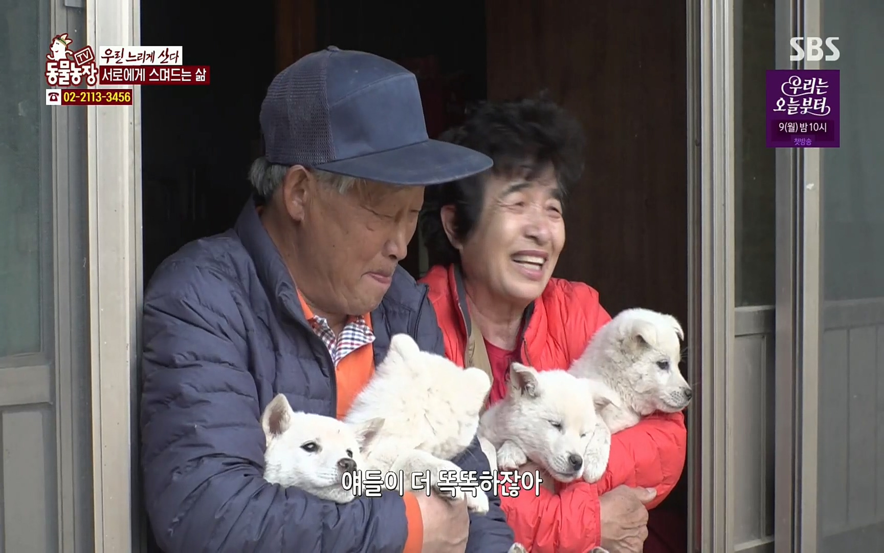 TV 동물농장.E1067.220501p.H264-F1RST.mp4_20220501_184818.544.jpg