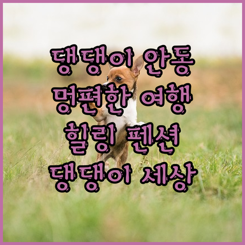댕댕이와 함께 떠나는 안동 여행! 멍