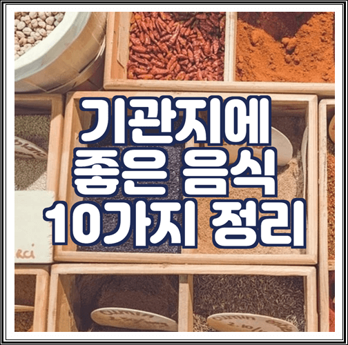  기관지에 좋은 음식 10가지 정리