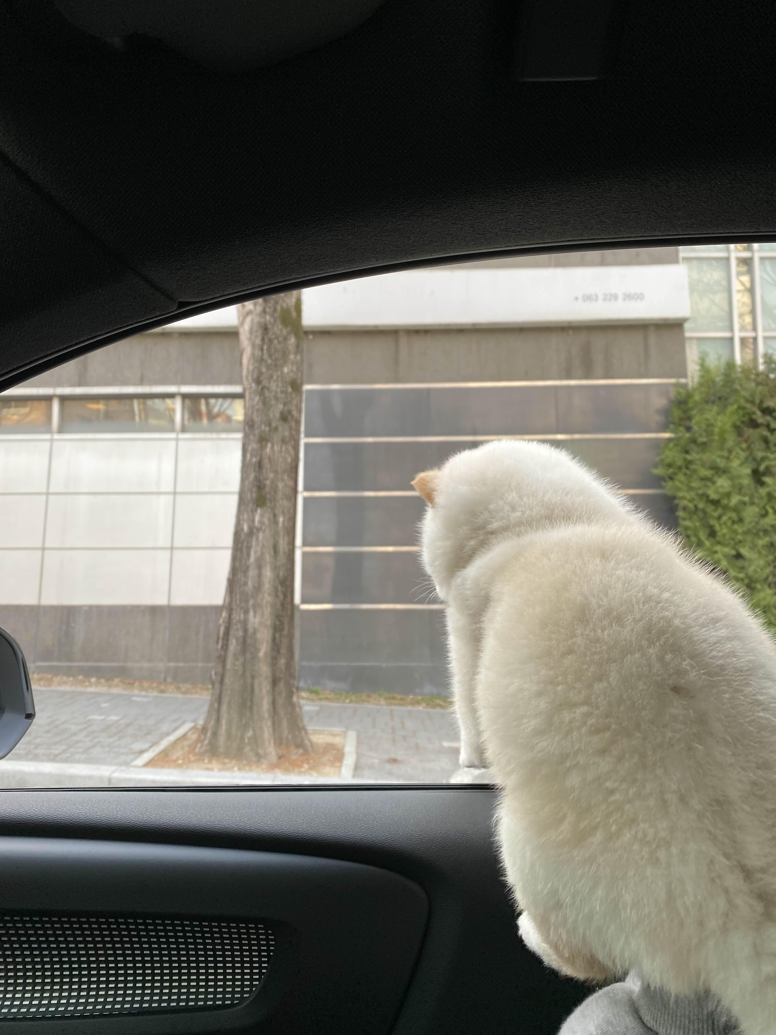 alt 태그