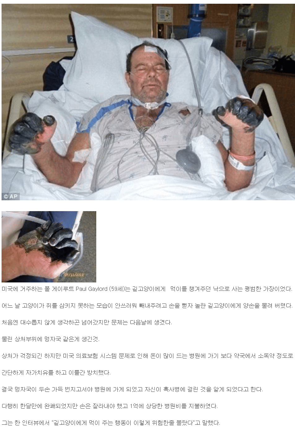  길고양이 함부로 만지면 안되는 이유