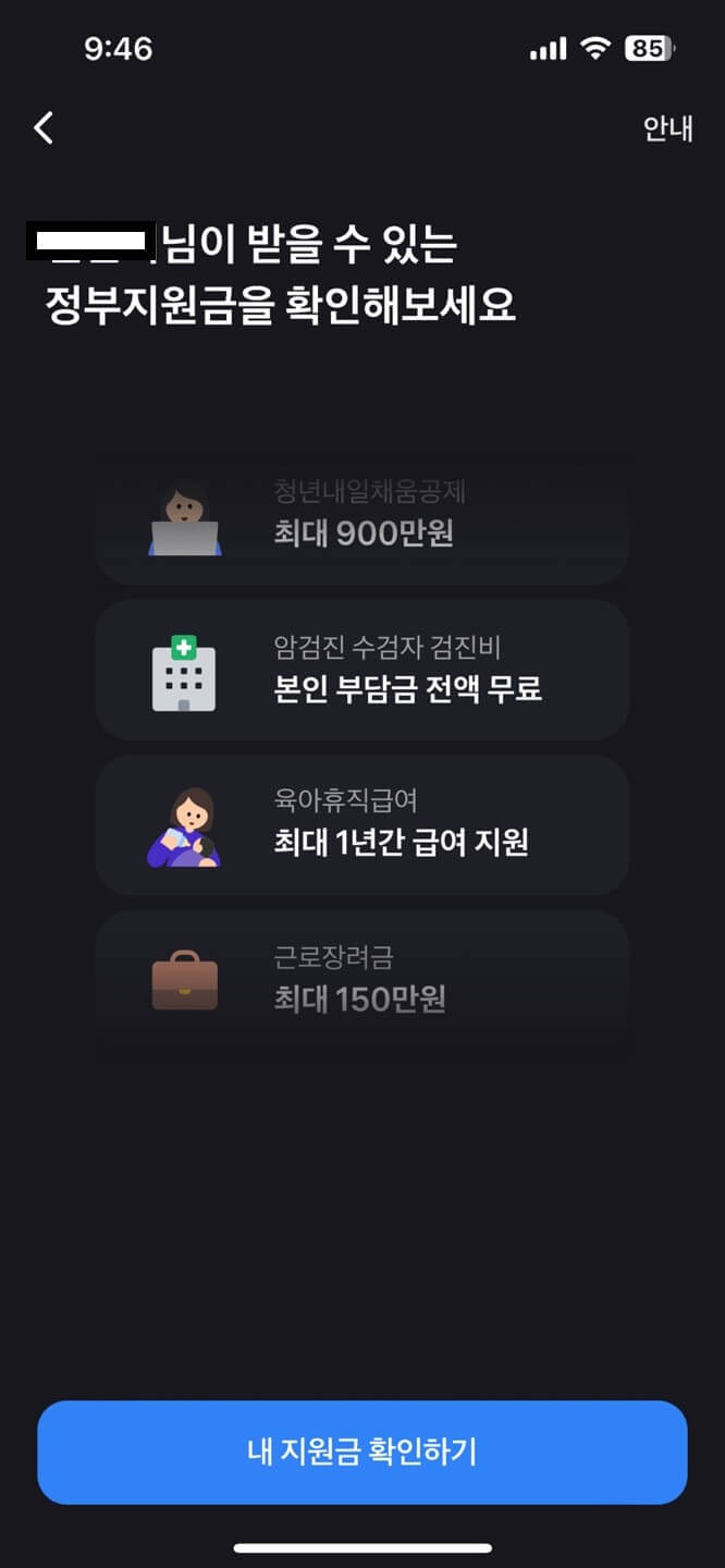 정부지원금