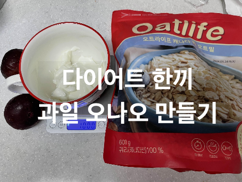 다이어트 한끼! 과일 오나오 만들기 레시피 (과일 + 그릭요거트 + 오트밀)